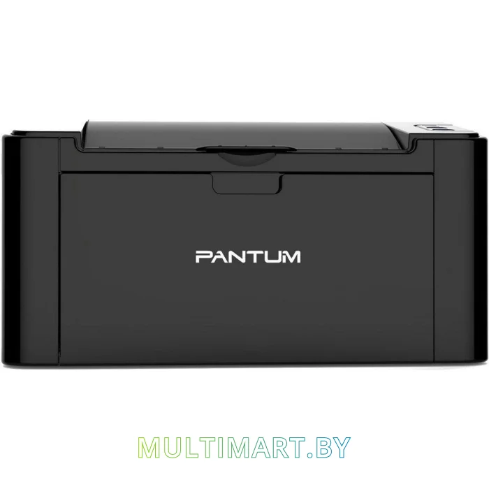 Принтер Pantum P2207